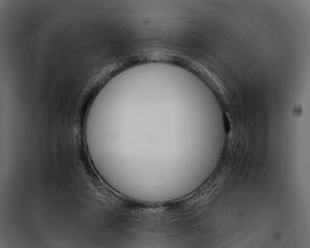 X0000100930306200806241145