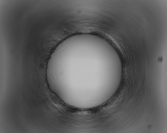 X0000100930307200806241145