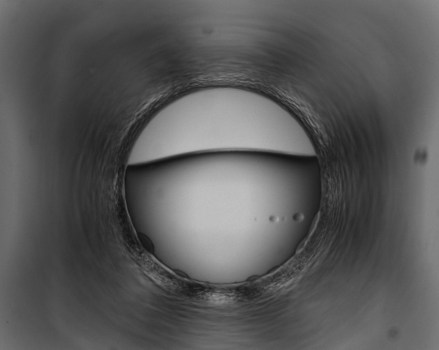 X0000100930308200806241145