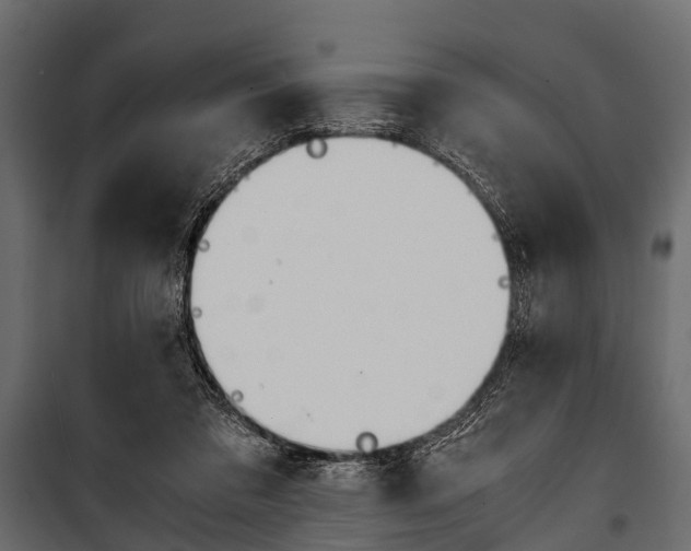 X0000100930309200806241145