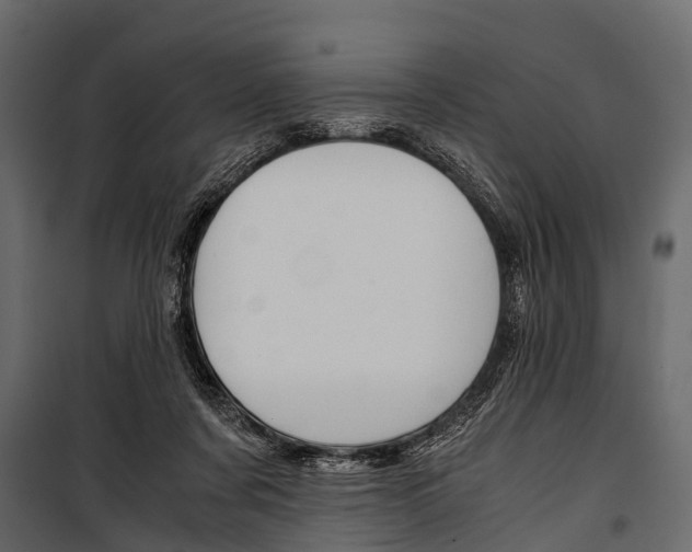 X0000100930311200806241145