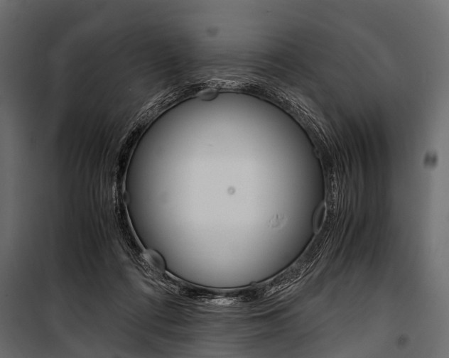 X0000100930312200806241145