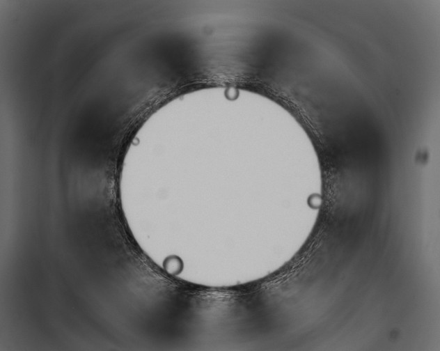 X0000100930313200806241145