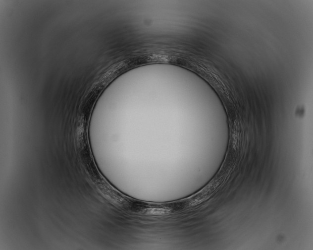 X0000100930314200806241145