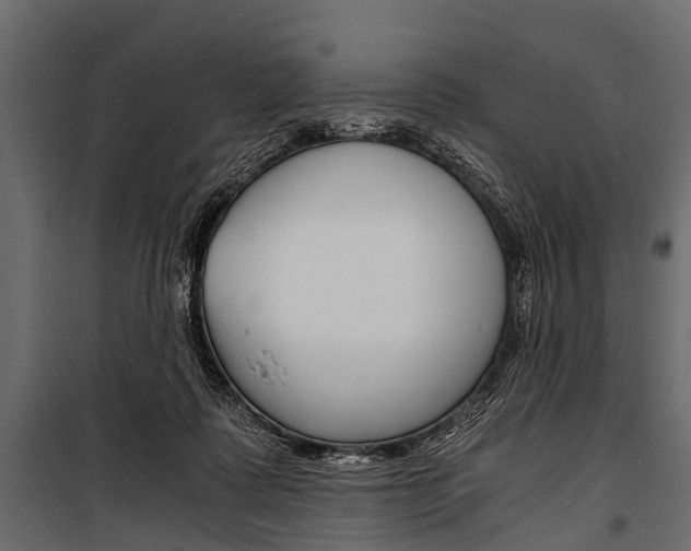 X0000100930315200806241145