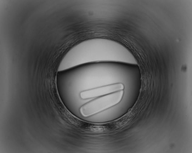 X0000100930316200806241145