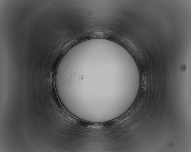 X0000100930318200806241145