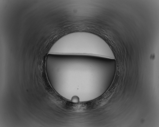 X0000100930319200806241145