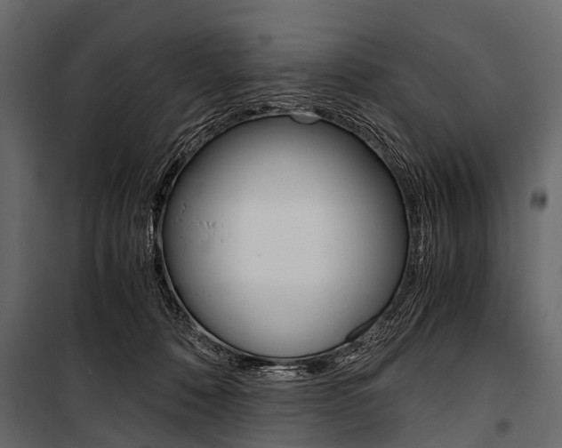 X0000100930320200806241145