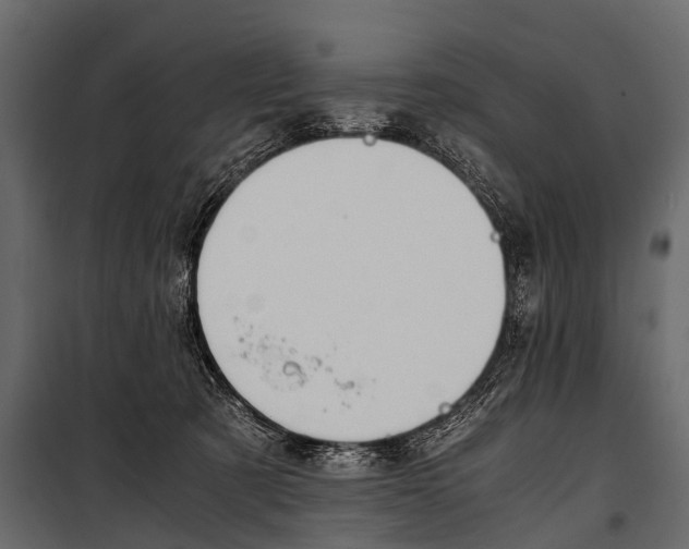 X0000100930321200806241145