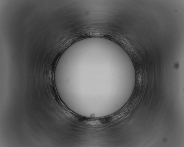 X0000100930322200806241145