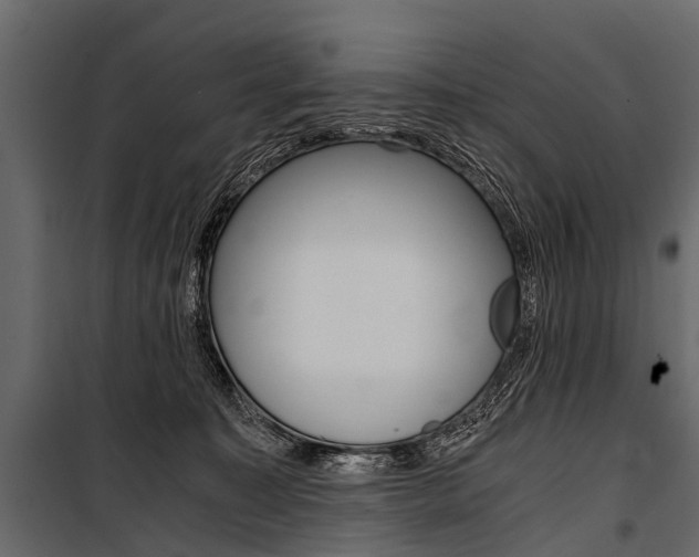 X0000100930323200806241145