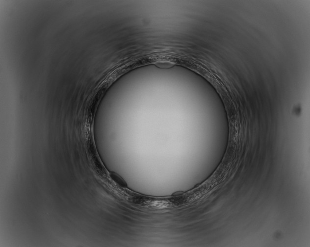 X0000100930324200806241145