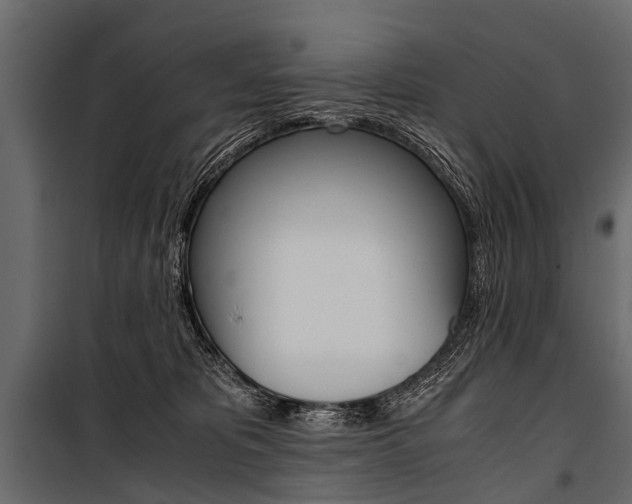 X0000100930325200806241145