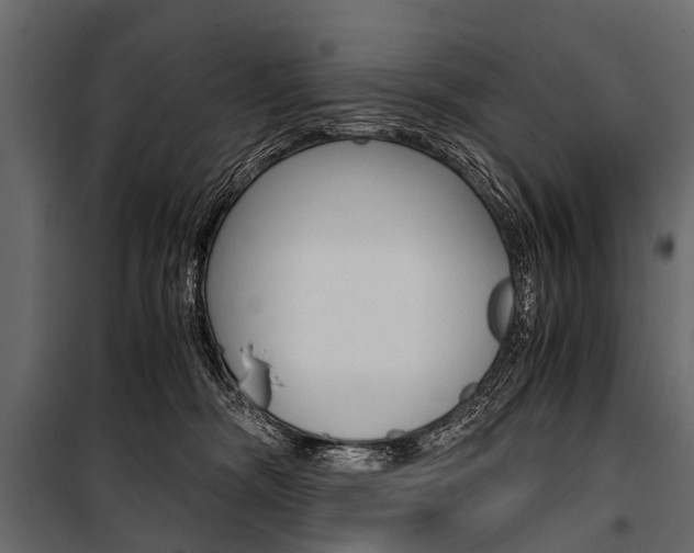 X0000100930326200806241145