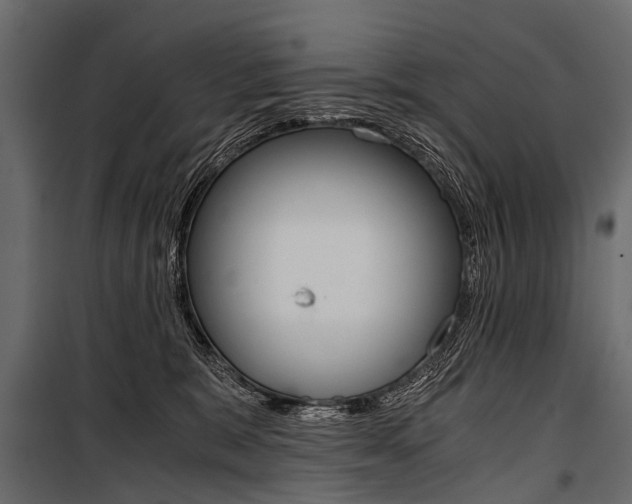 X0000100930327200806241145