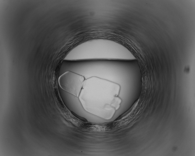 X0000100930328200806241145