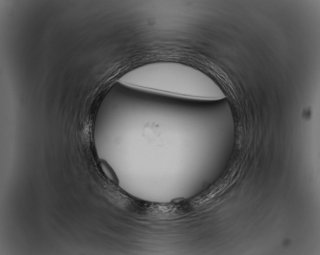 X0000100930329200806241145