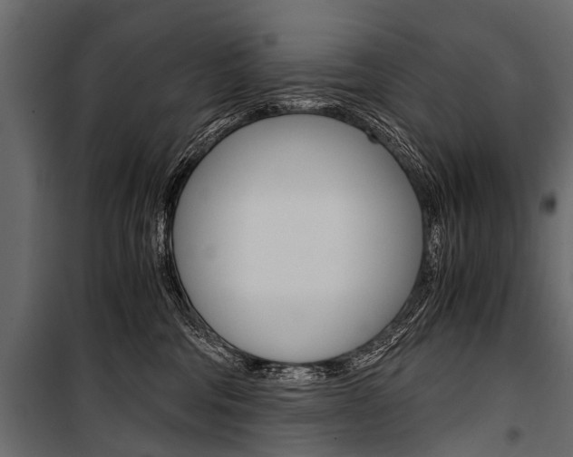 X0000100930330200806241144