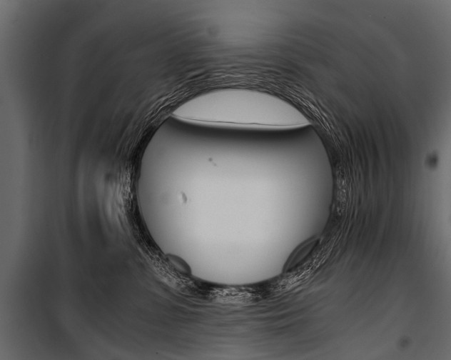 X0000100930331200806241144