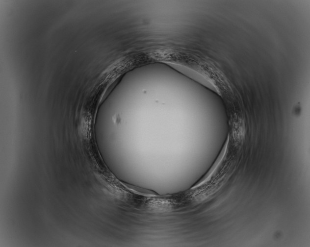 X0000100930332200806241144