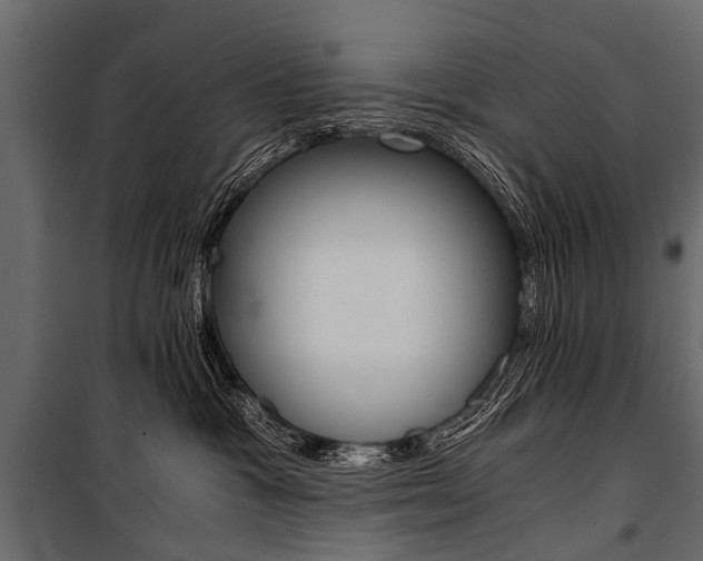 X0000100930333200806241144