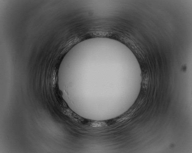 X0000100930334200806241144