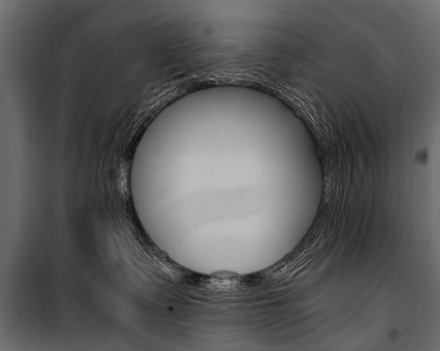 X0000100930335200806241144