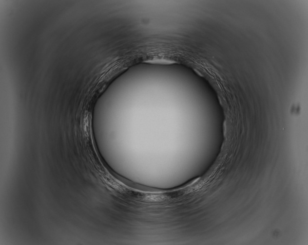 X0000100930336200806241144