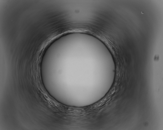 X0000100930337200806241144