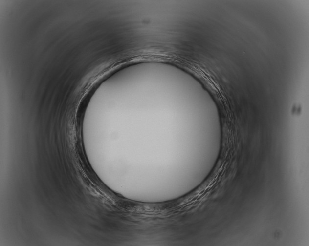 X0000100930338200806241144