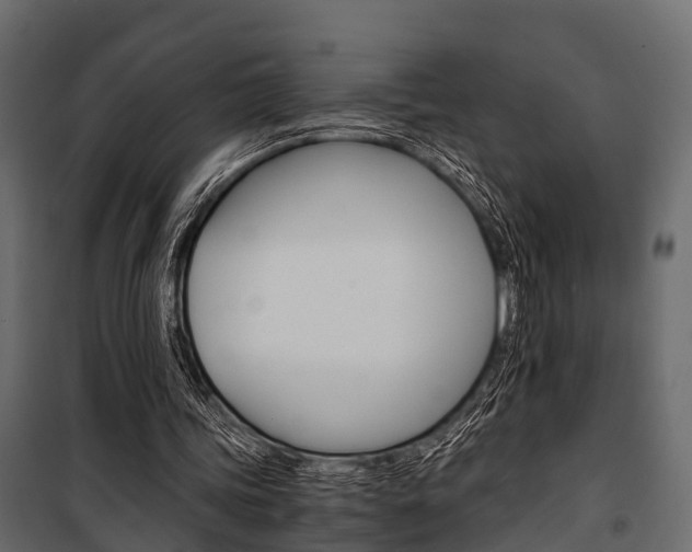 X0000100930339200806241144