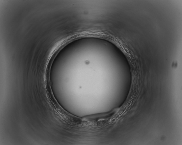 X0000100930340200806241144