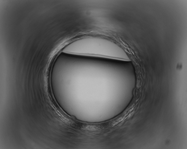 X0000100930341200806241144