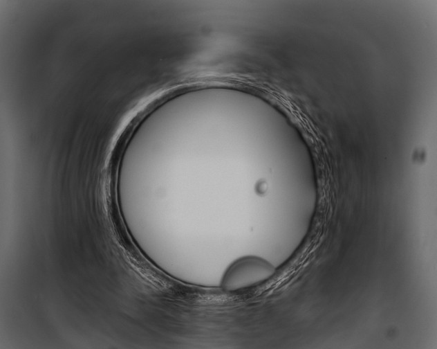 X0000100930342200806241144