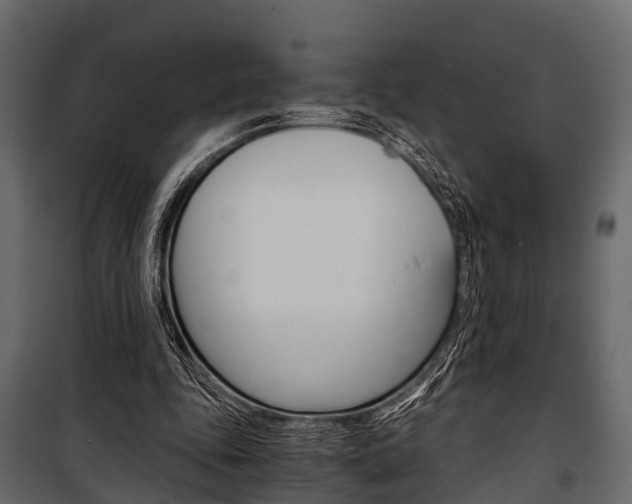 X0000100930343200806241144