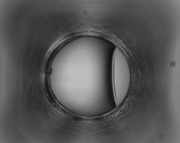 X0000100930344200806241144