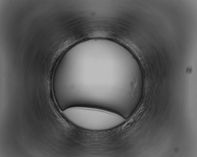 X0000100930345200806241144