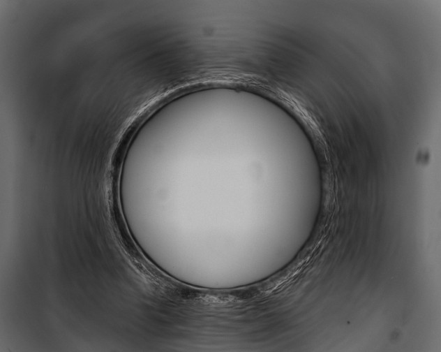 X0000100930346200806241144