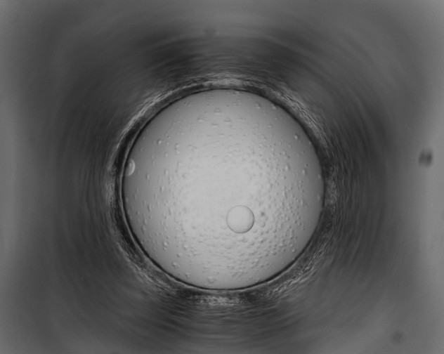 X0000100930347200806241144