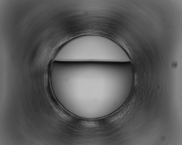 X0000100930349200806241144