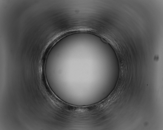 X0000100930350200806241144