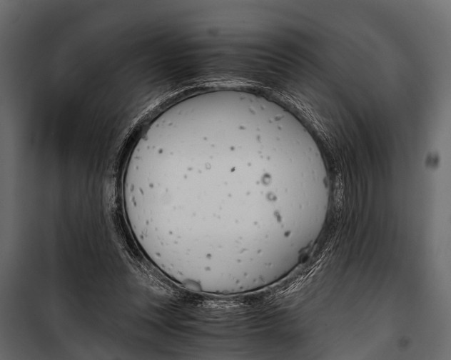 X0000100930351200806241144