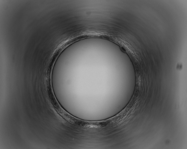 X0000100930352200806241144