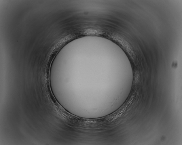 X0000100930353200806241144