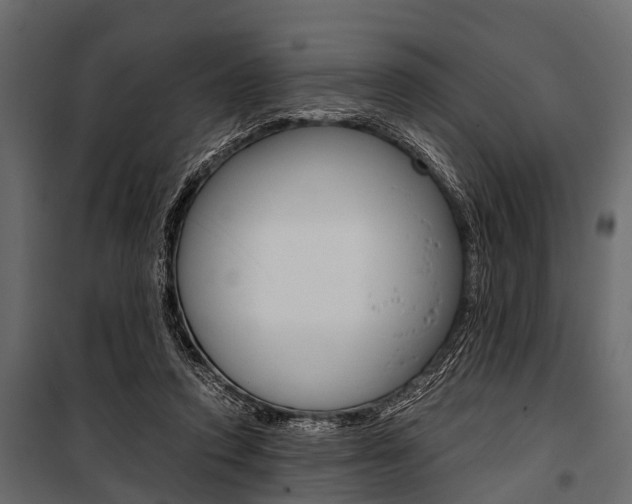 X0000100930354200806241144