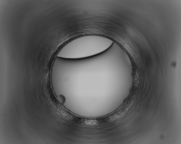 X0000100930355200806241144