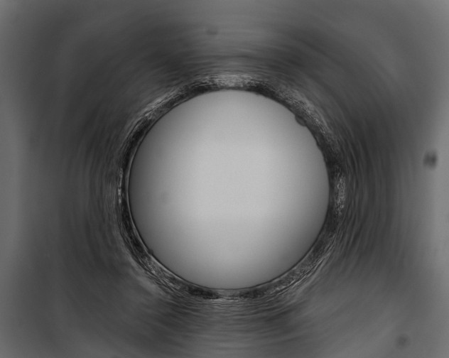 X0000100930356200806241144