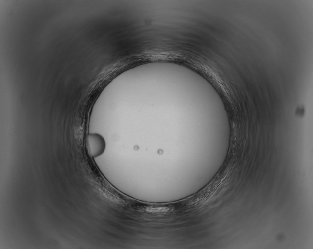 X0000100930357200806241144