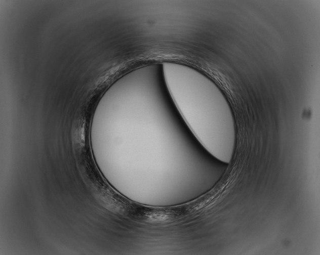 X0000100930358200806241144